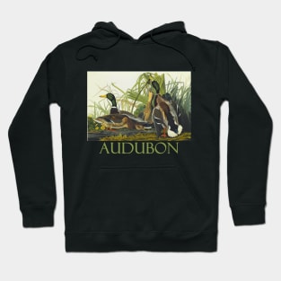 Mallard Duck by John James Audubon Hoodie